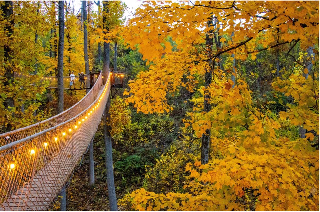 Smokies in the Fall