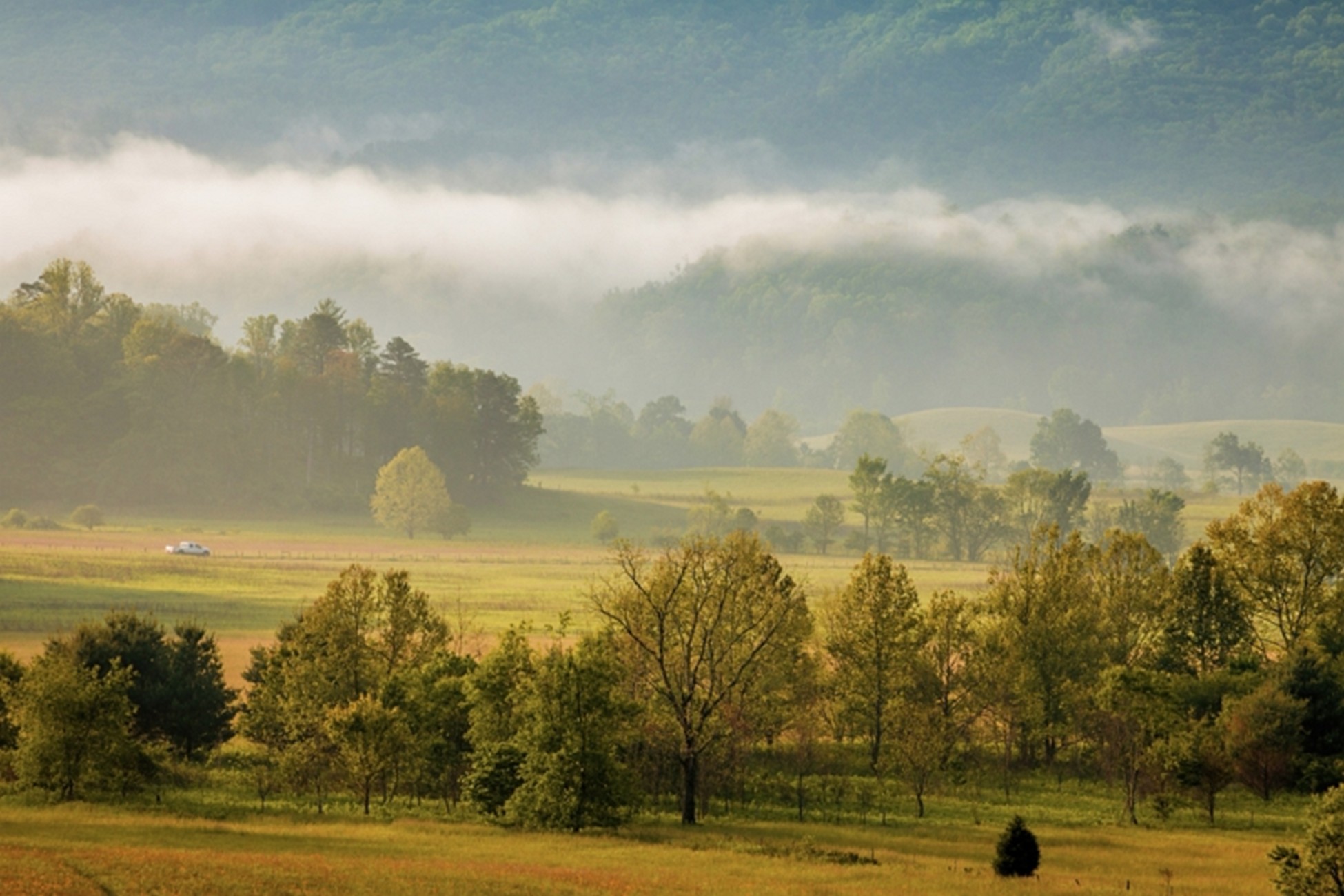 Cade's Cove