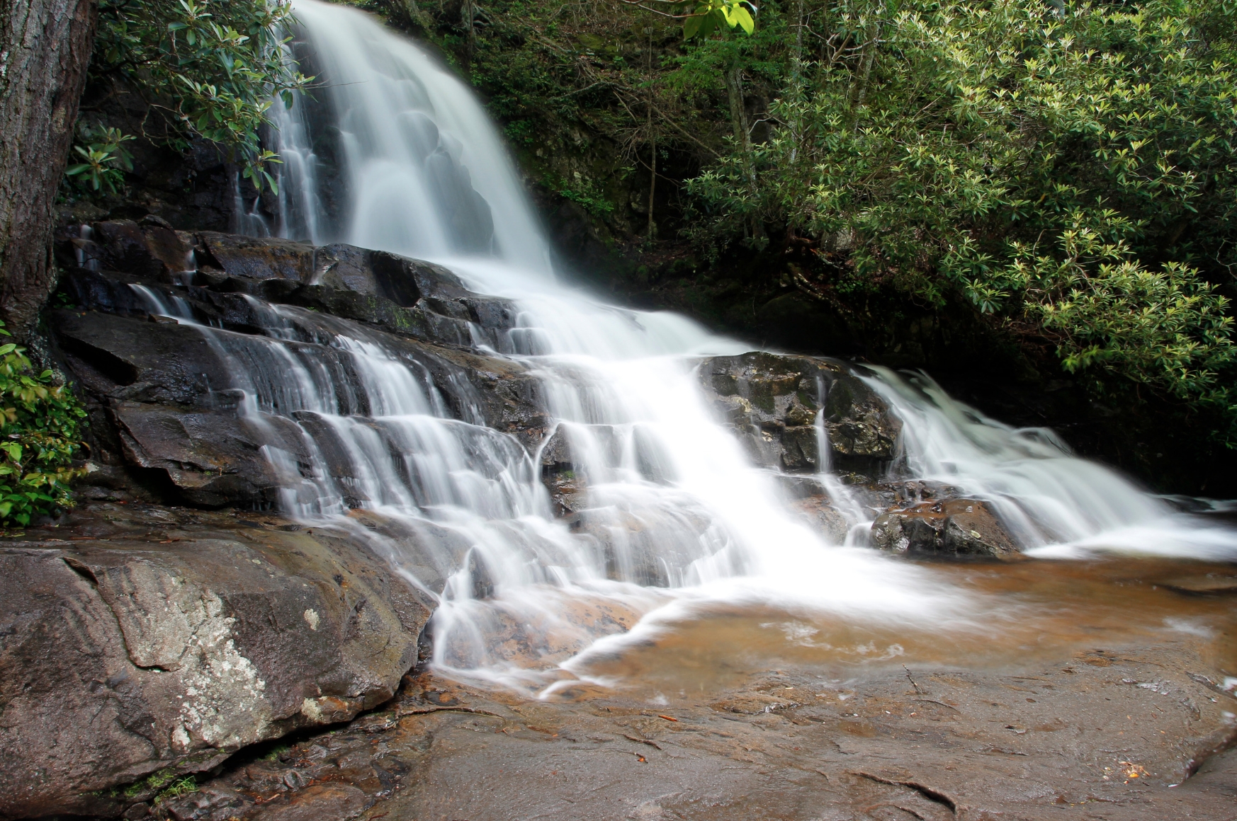 Laurel Falls